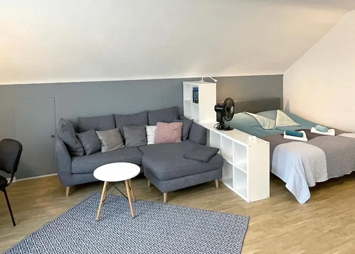 Hell Modern Gemuetlich Grosses 1 Apartament Ilvesheim