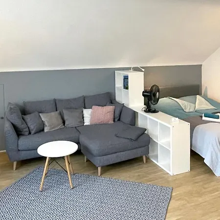 Hell Modern Gemuetlich Grosses 1 Apartamento Ilvesheim